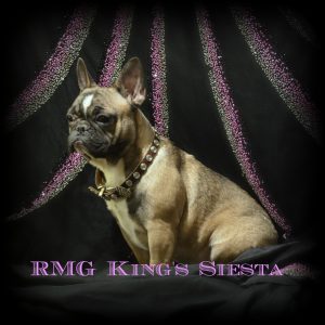 RMG King's Siesta Key